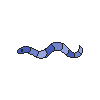 Giant Burrowing Blueworm