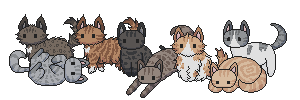 examples of north wind cats