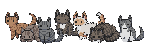 examples of south wind cats