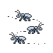 Snow Ants